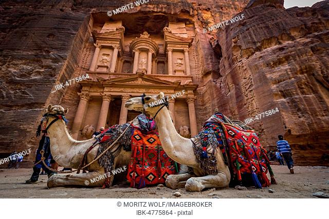 Dromedaries in front of the Pharaoh's treasure house carved out of rock, facade of the Al-Khazneh treasure house, Khazne Faraun