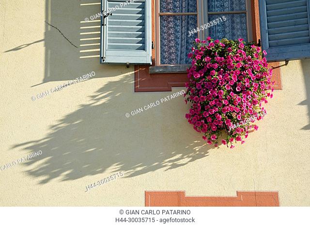 Italy, panorama of vineyards of Piedmont Langhe-Roero and Monferrato on the World Heritage List UNESCO. a flowered window in Barolo city Italy, Piedmont