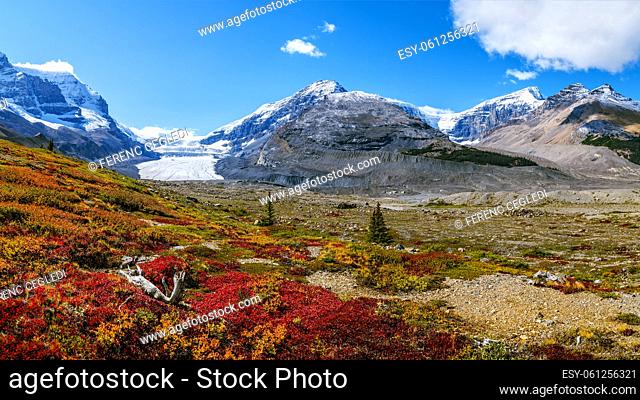 The picturesque panorama, the dramatic mountain terrain and the fall color of high alpine flora give the Athabasca Glacier along the Columbia Icefield a...