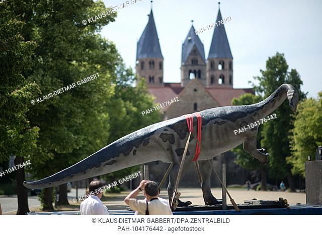 23.05.2018, Saxony-Anhalt, Halberstadt: The model of a Plateosaurus stands on the loading surface of a truck. The Dinosaur Education is on loan from the...