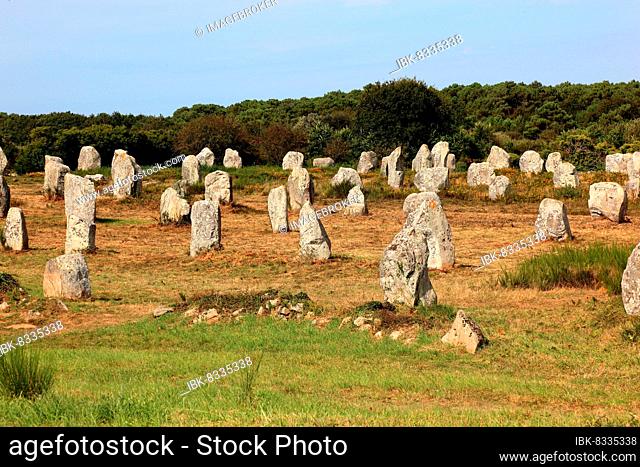 Carnac, standing menhirs, stone rows, Brittany, France, Europe