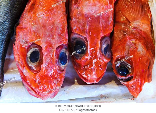 San Francisco, CA - Red fish in a market in Chinatown