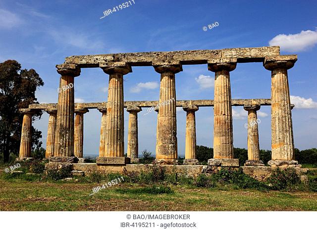 Metaponto, Doric Temple of Hera, Tavole Palatine, Basilicata, Italy