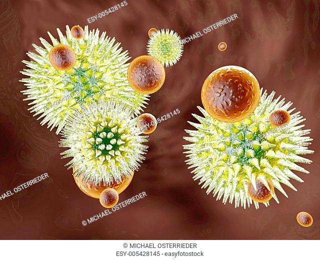 Virus vs Immune system