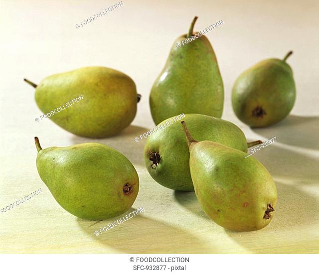 Six green pears variety: Gute Luise