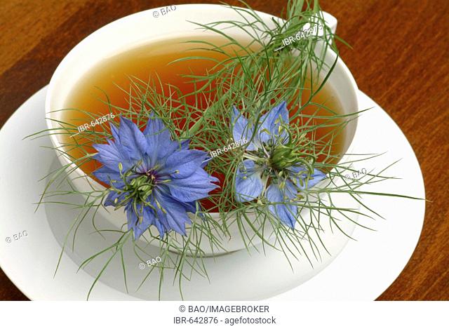 Fennel Flower or Black Caraway (Nigella sativa) herbal tea, medicinal tea