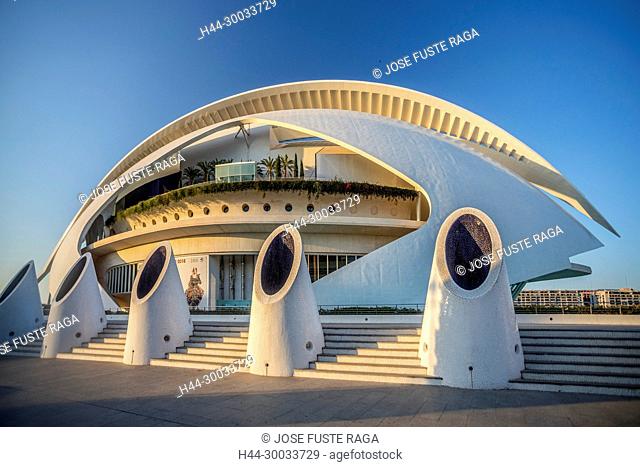 Spain, Valencia City, The City of Arts and Science, Calatrava architect, The Auditorium Bldg