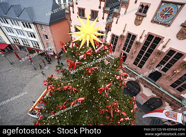 25 November 2020, Hessen, Frankfurt/Main: The Frankfurt Christmas tree stands decorated in front of the Römer town hall. The spruce from Austria called...