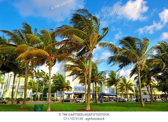 Park Central Hotel morning time, South Beach, Ocean Drive, Miami, Florida, USA
