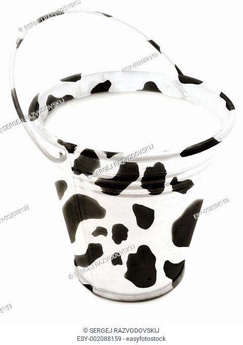 milk bucket with cow skin