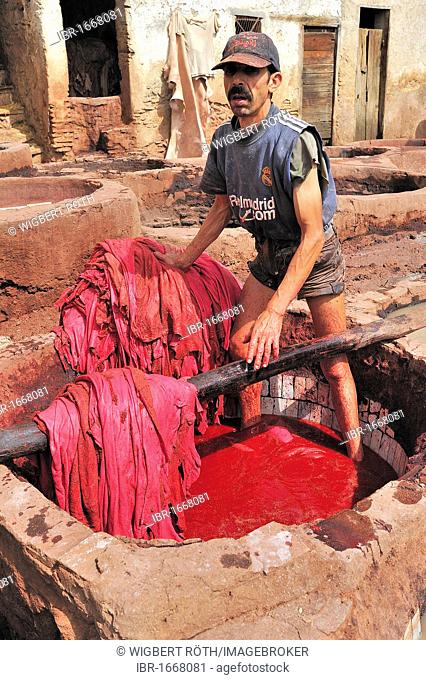 A worker standing in a tannery in a vat of red paint to dye the leather, tanner and dyers quarter, Fez, Morocco, Africa