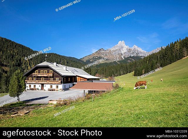 Farm in front of the Bischofsmütze (2458m), Filzmoos, St. Johann im Pongau District, Salzburg State, Austria