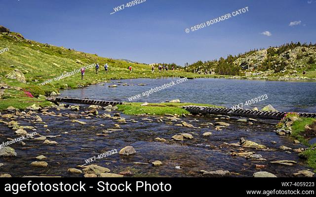Carlit Lakes, Les Bouillouses, in summer (Pyrenees Orientales, France)