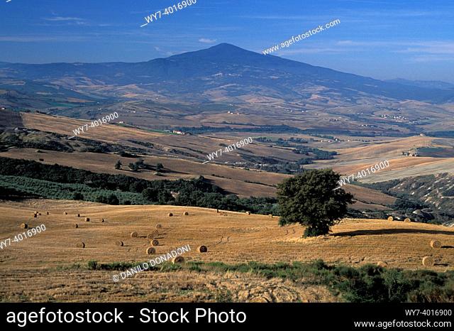 amiata mountain and orcia valley, st. quirico d'orcia, italy