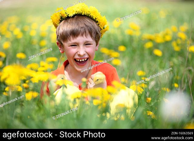 Happy child in dandelions with ducklings