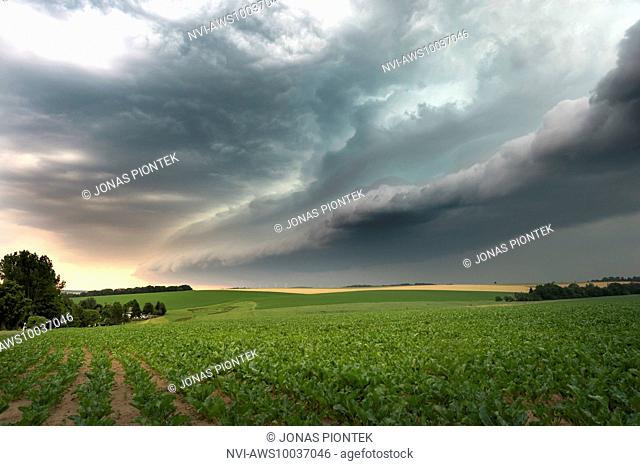 Powerful shelf cloud with an approaching mesoscale convective system (MCS) near Döbeln, Saxony, Germany