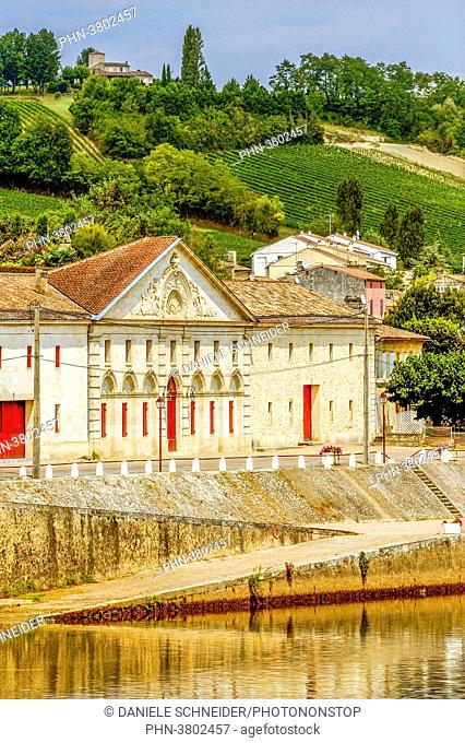 France, Gironde, Castillon-la-Bataille, AOC Castillon Cotes de Bordeaux vine and wine-warehouse on the shore of the Dordogne river