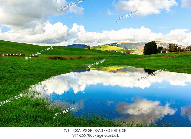 Lake, Altopiano of Asiago, Province of Vicenza, Veneto, Italy. Small spring lake in field