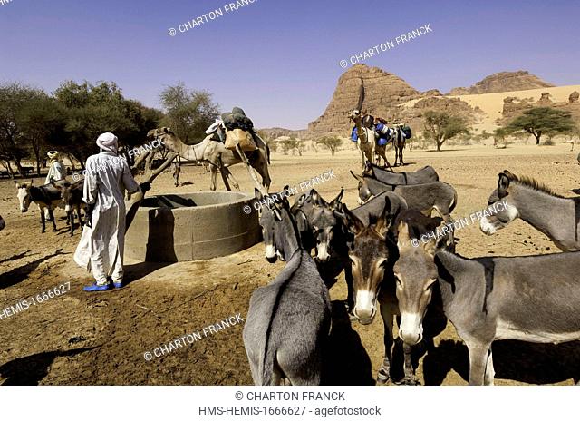 Chad, Southern Sahara desert, Ennedi massif, Birdjigol well