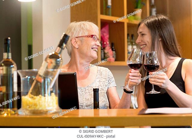 Women at counter in wine bar making a toast