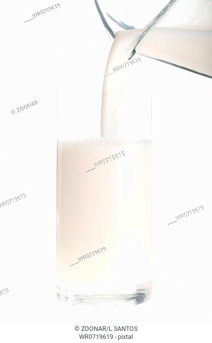 jug pouring fresh milk into a glass isolated on white background