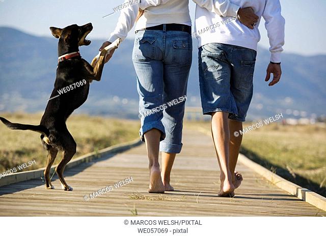 Couple Playing With Their Dog