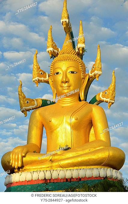 Golden Buddha statue protected by nagas, Wat Phuang Khaew, Muang Khong, Si Phan Don, South Laos, Southeast Asia