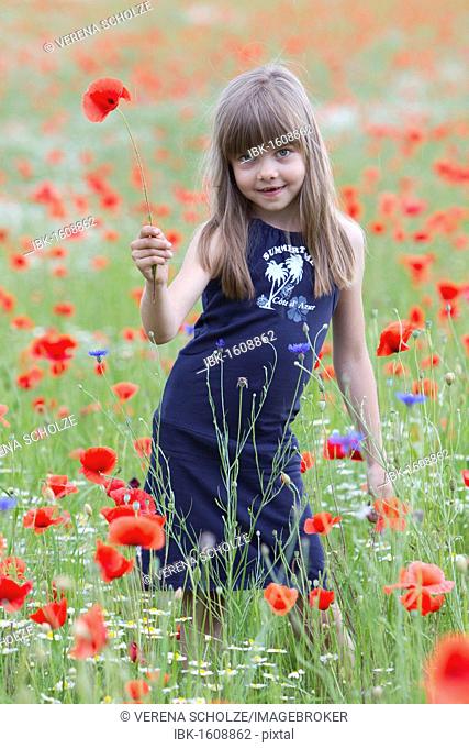 Little girl standing in a poppy field