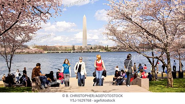 Visitors at the Washington DC tidal basin during cherry blossom season
