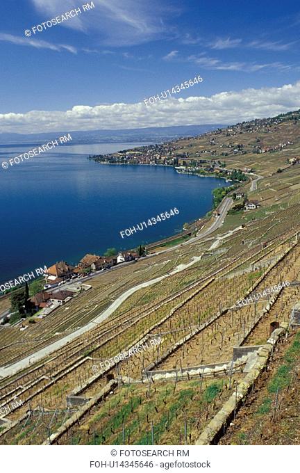 Lavaux, Switzerland, Vaud, Lake Geneva, Europe, Scenic view of a village surrounded by vineyards along the lakeshore of Lac Leman in the spring in the Canton of...