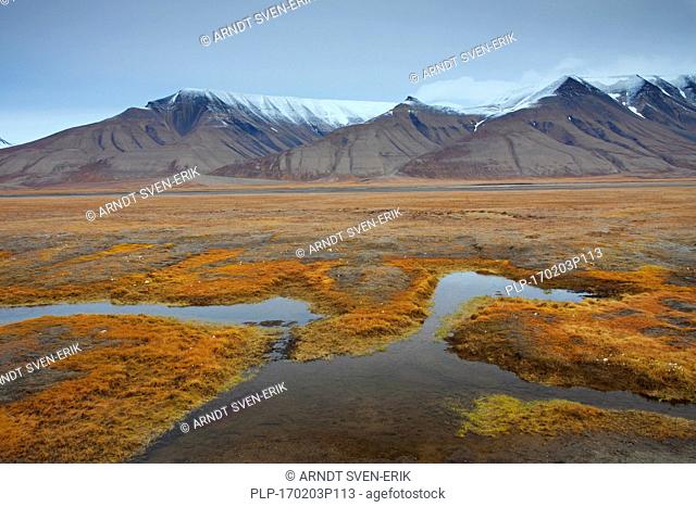 Adventdalen in autumn, valley that follows the Adventdalselva / Advent Valley River near Longyearbyen, Svalbard / Spitsbergen