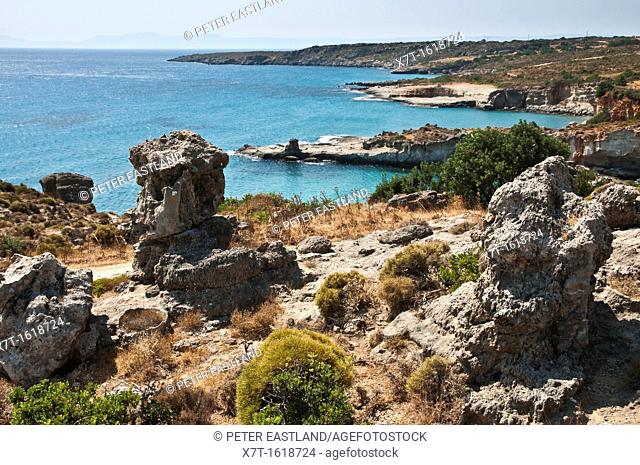 Remains of a petrified forest at Agia Marina near Cape Maleas, south of Neapoli on the Vatika Peninsula, Lakonia, Peloponnese, Greece