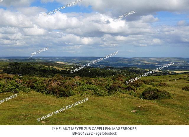 View from Haytor over the landscape of Dartmoor, Haytor Vale, Dartmoor, Devon, England, United Kingdom, Europe