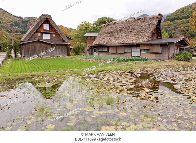 Ogimachi is a UNESCO world heritage site because of the many old farmhouses in gassho-zukuri style, with the steep roofs \constructed like hands in prayer\