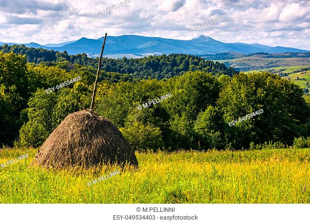 haystack on gcountrysiderassy lawn on hillside. ecology agricultural concept. Location near Pikui mountain, Transcarpathian region, Ukraine