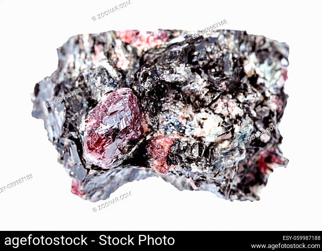 macro photography of sample of natural mineral from geological collection - rough red Garnet crystals in Biotite rock isolated on white background