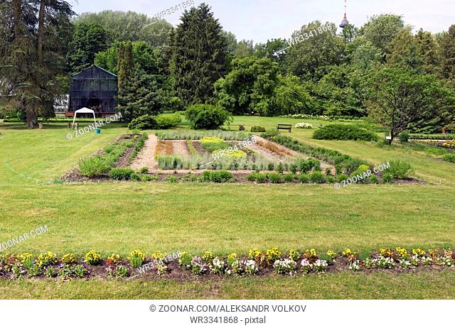 VILNIUS, LITHUANIA - JUNE 17, 2016: Pansies and exotic plants beds in the old Botanical Garden of the Vilnius University