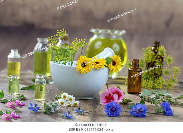 essential oils for aromatherapy treatment with fresh herbs in mortar, and essential oik bottle on the back on bleue wooden board background