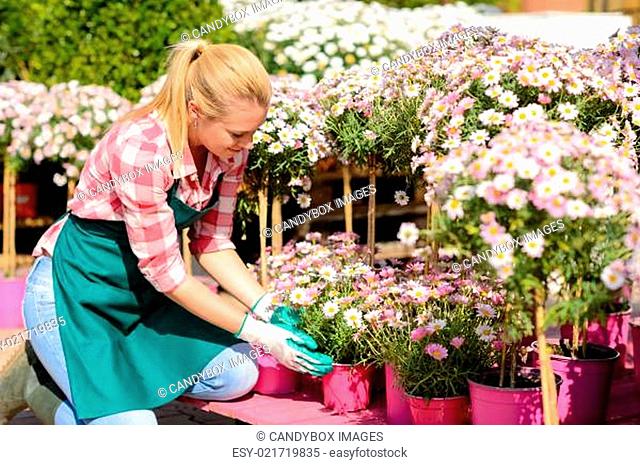 Garden center woman kneeling by potted flowers