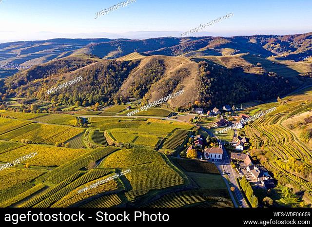 Germany, Baden-Wurttemberg, Vogtsburg im Kaiserstuhl, Aerial view of vineyards and volcanic hills of Kaiserstuhl in autumn