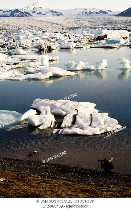 Iceland, Jokulsarlon glacier, icebergs floating on water, birdwatcher taking pictures of a couple of common eider