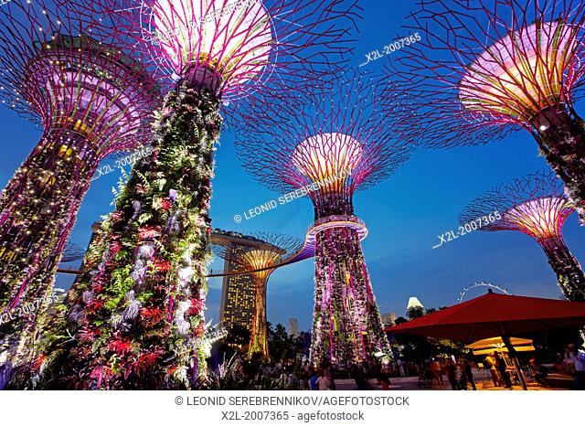 Supertree Grove at Gardens by the Bay, Singapore