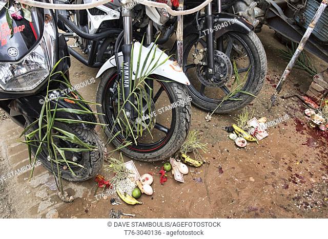 Motorcycles covered with offerings during the Dasain holiday in which thousands of animals are slaughtered, Kathmandu, Nepal