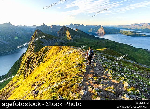 Rear view of man walking on path to Husfjellet mountain peak at sunrise, Senja island, Troms county, Norway, Scandinavia, Europe