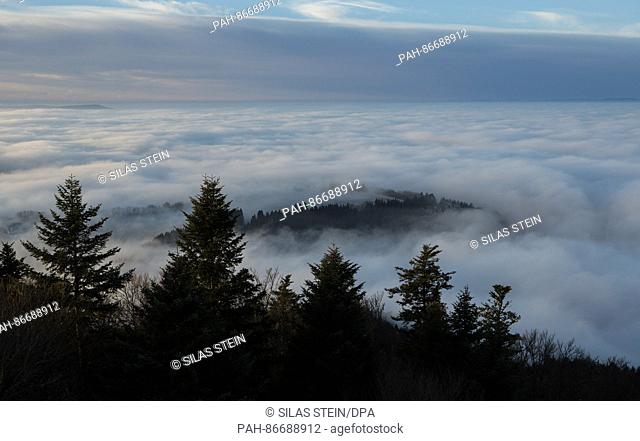 Morning fog forming near Gosheim,  Germany, 20 December 2016, with trees seen on a Lemberg hillside. Photo: Silas Stein/dpa | usage worldwide