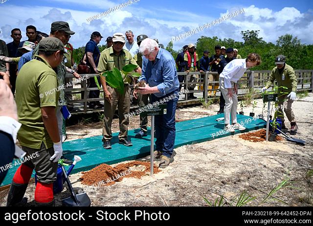 18 February 2023, Malaysia, Kuching: German President Frank-Walter Steinmeier (m, r) and his wife Elke Büdenbender (2nd from right) plant two mangrove trees in...