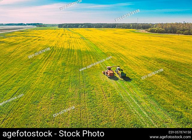 Aerial View Of Rural Landscape. Combine Harvester And Tractor Working Together In Field. Harvesting Of Oilseed In Spring Season