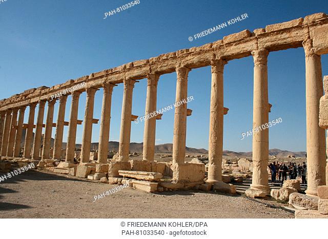 Ancient ruins in Palmyra,  Syria, 05 May 2016. Syrian troups, supported by the Russian Armed Forces, have recaptured the city occupied by militant group Islamic...