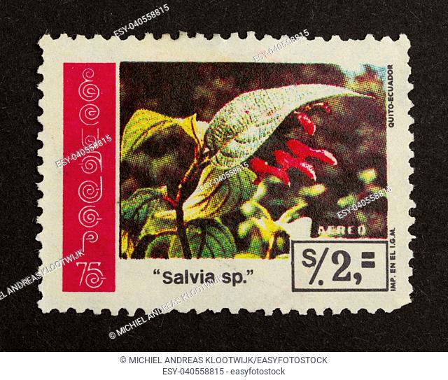 ECUADOR - CIRCA 1980: Stamp printed in Ecuador shows a flower, circa 1980