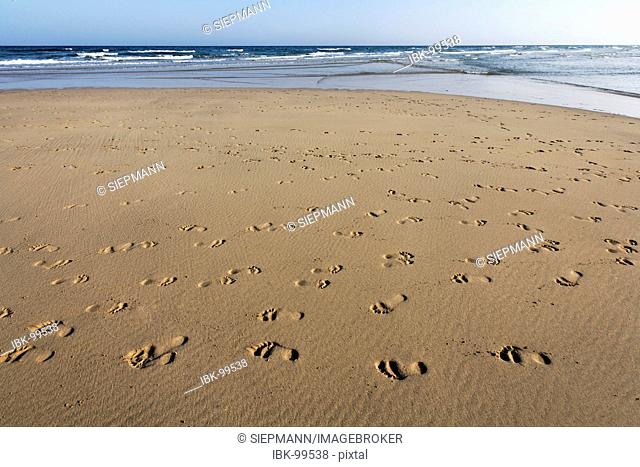Foot prints , footprints , Playa de Sotavento , Jandia , Fuerteventura , Canary Islands
